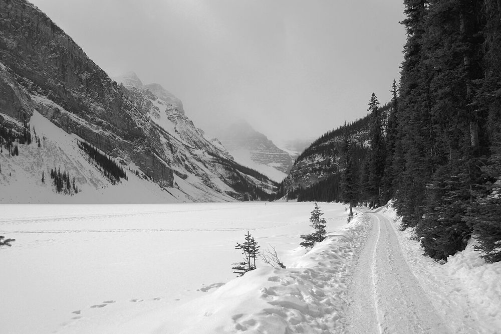 Lakeshore Trail (2404234095)