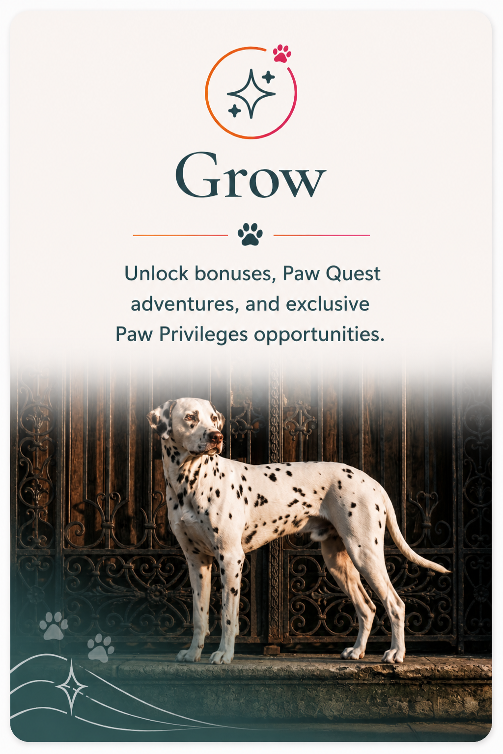 Grow — Dalmatian illustrating Paw Privileges creator bonuses and Paw Quest opportunities card