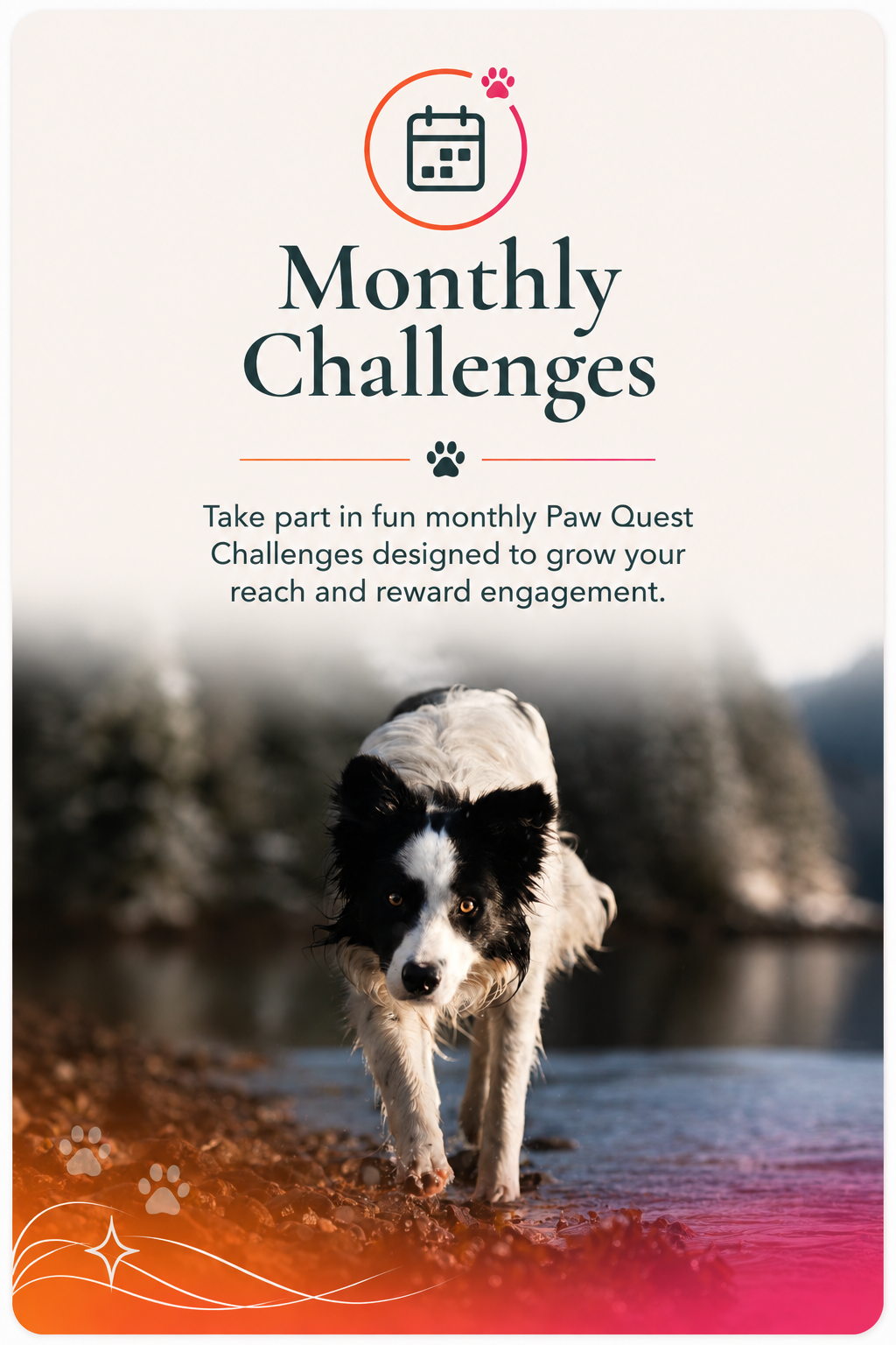 Monthly Challenges — Border Collie walking by a misty lake illustrating Paw Privileges monthly creator challenges card