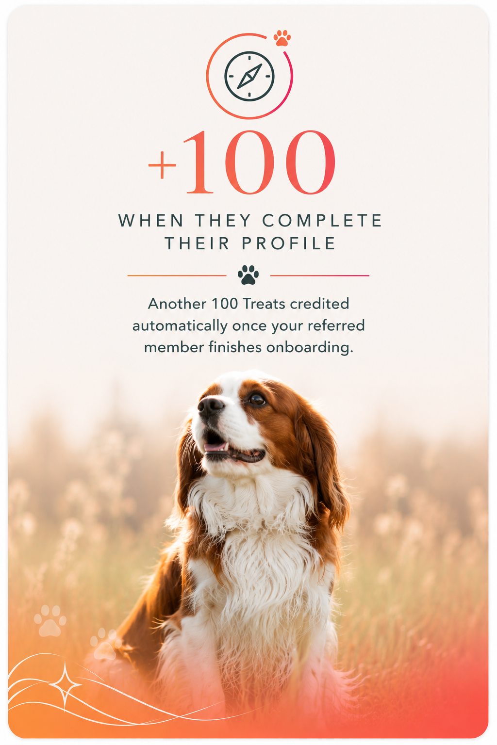 +100 Treats when referred member completes their profile — Cavalier King Charles Spaniel creator reward card