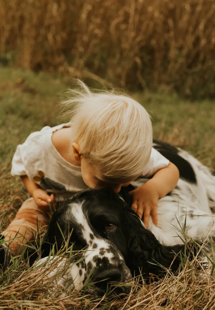Two puppies in golden autumn light