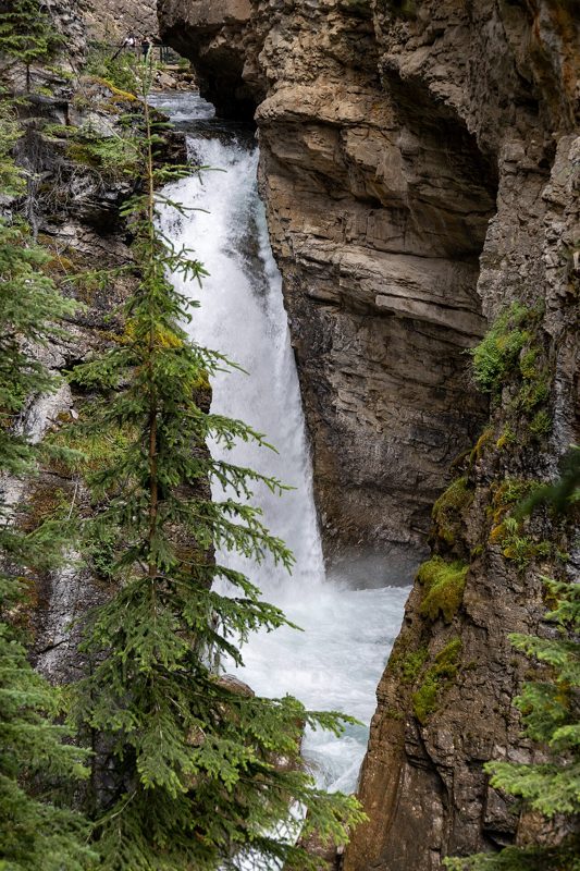 Lower Falls, Johnston Canyon, Banff National Park, Alberta, 2025-07-12