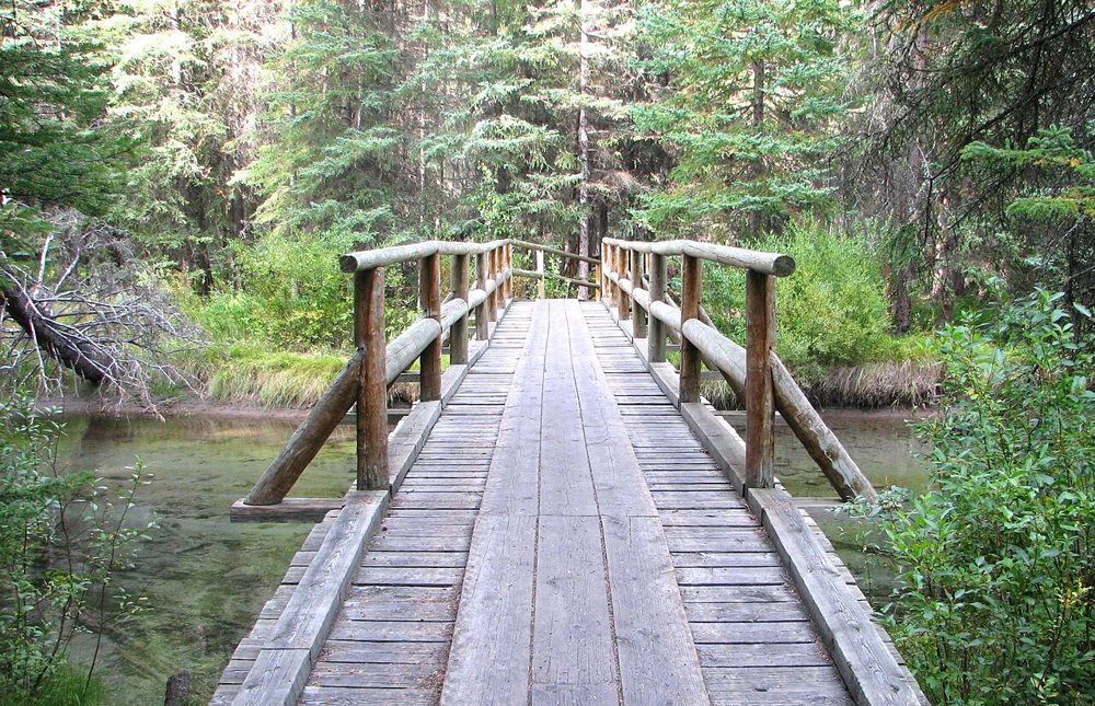 Banff Fenland Trail - panoramio