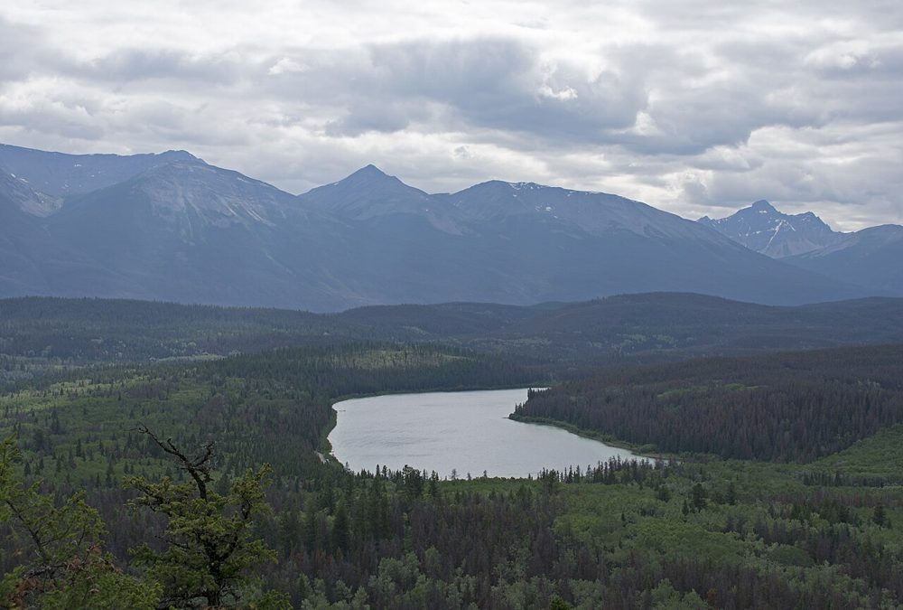 Patricla Lake from the trail 1
