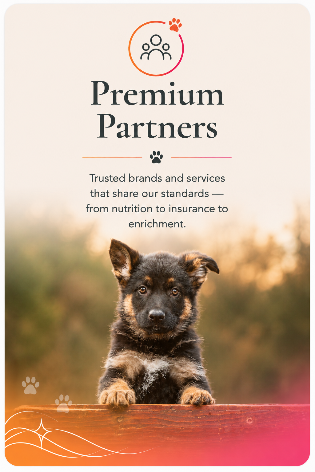 Premium Partners