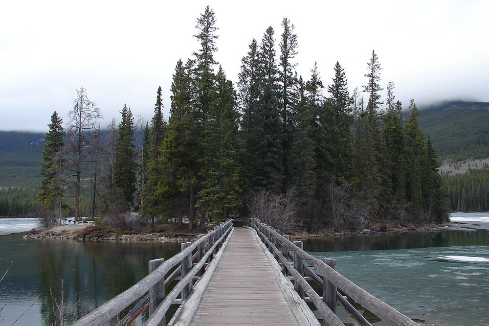 Pyramid Island, Alberta (5770808567)