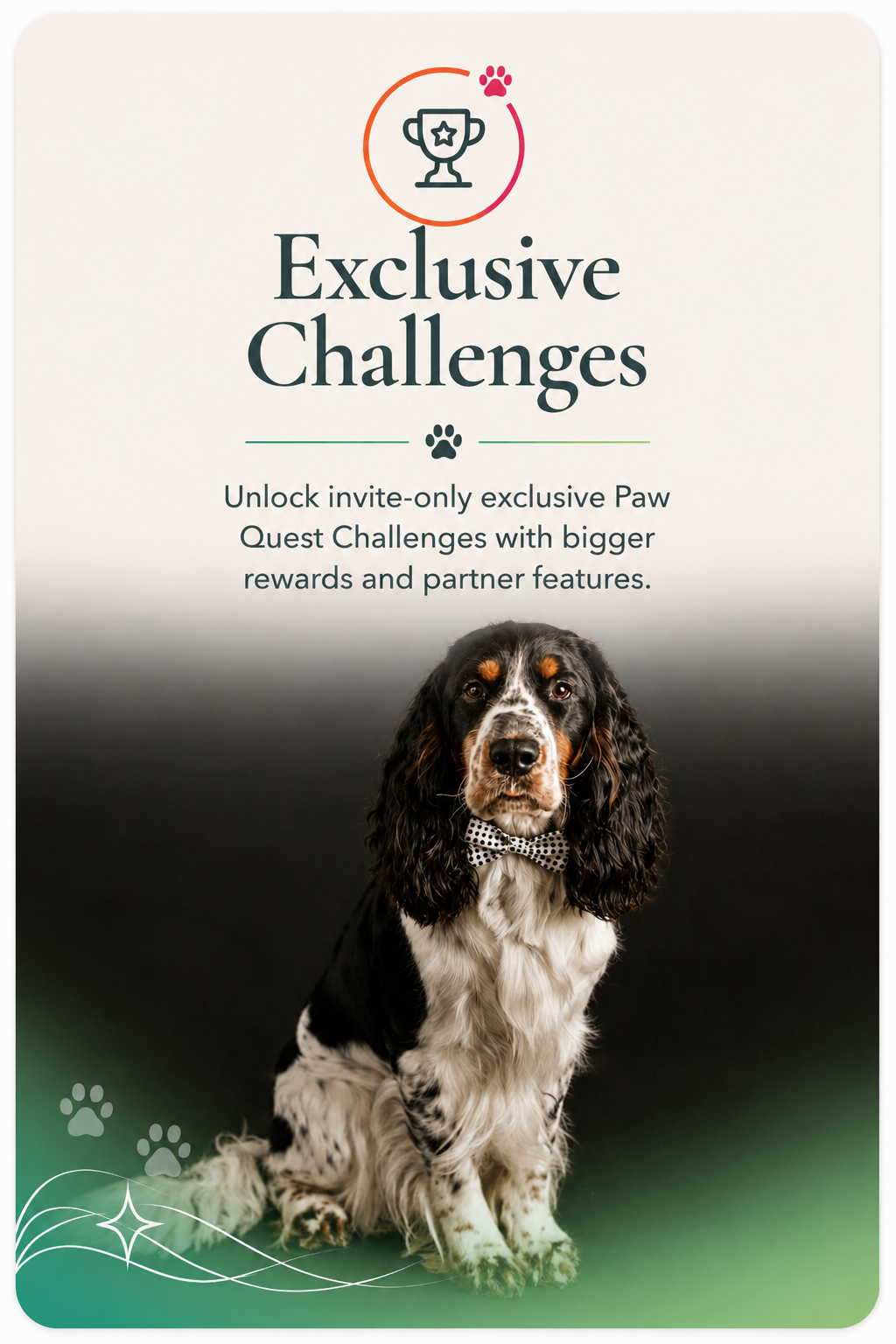 Exclusive Challenges — English Cocker Spaniel in a bow tie illustrating Paw Privileges invite-only creator challenges card