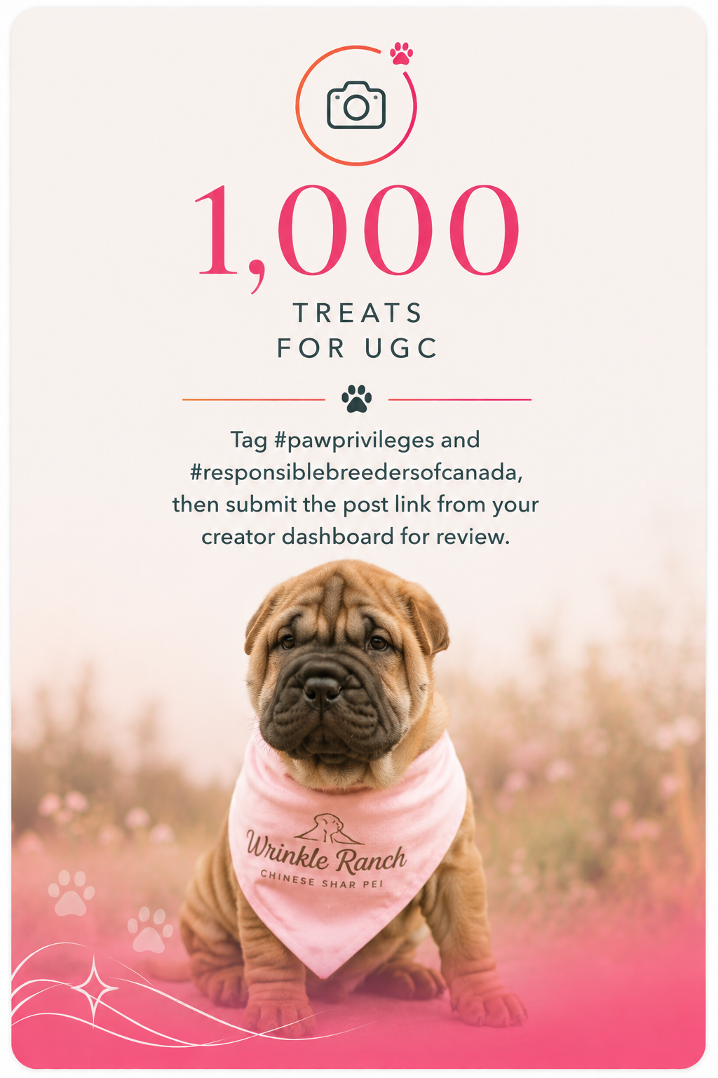 1,000 Treats for UGC — Chinese Shar Pei in Wrinkle Ranch bandana illustrating Paw Privileges creator UGC reward card