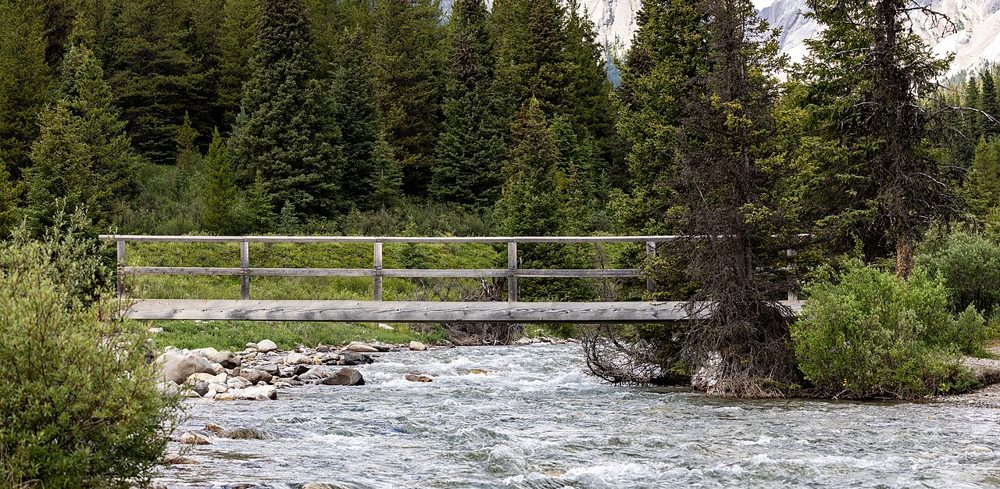 Bridge over Johnston Creek, Johnston Canyon, Banff National Park, Alberta, 2025-07-12 01