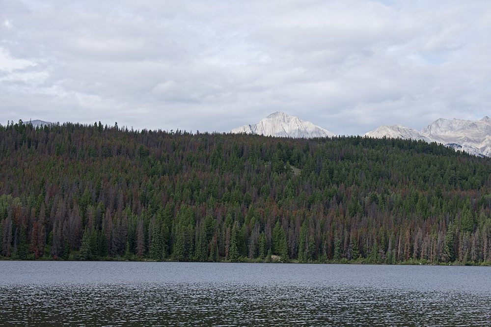 Southern shore of Pyramid Lake