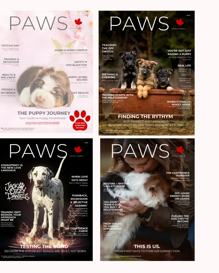 PAWS Gotcha Day Series — four quarterly editions covering your puppy's first year