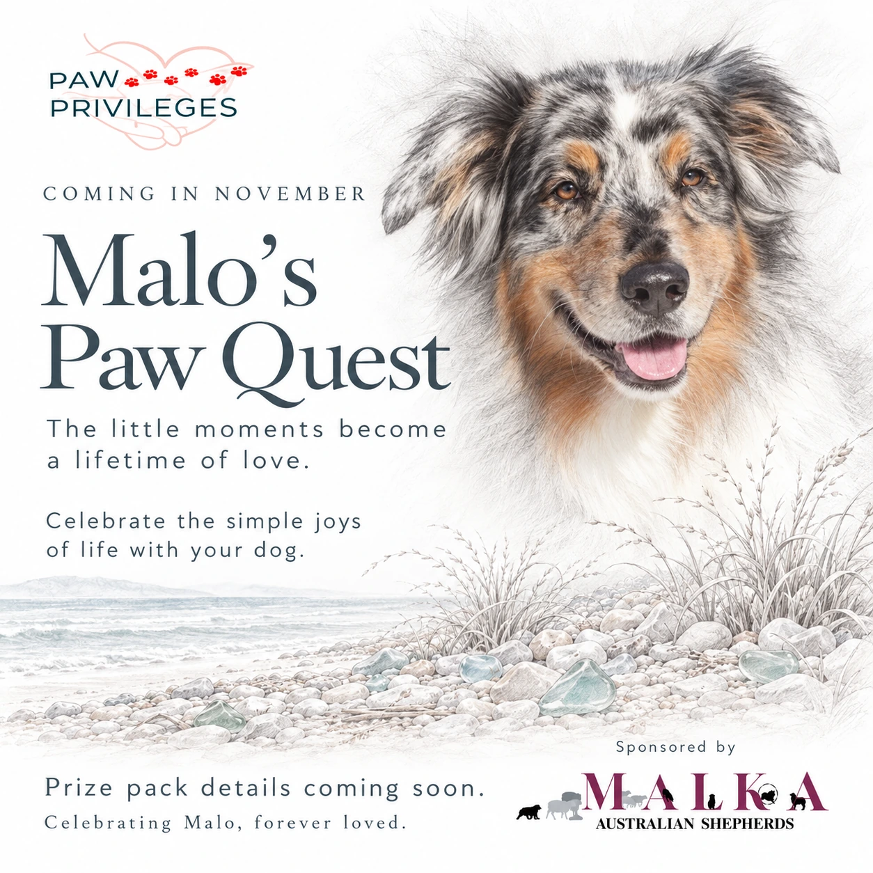 Malo’s Paw Quest tribute featuring his Australian Shepherd portrait, a coastal shoreline and sea glass, sponsored by Malka Australian Shepherds